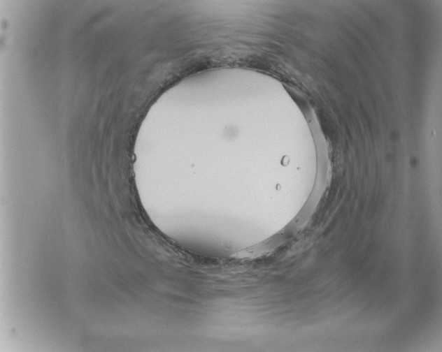 X0000070871153200607150114