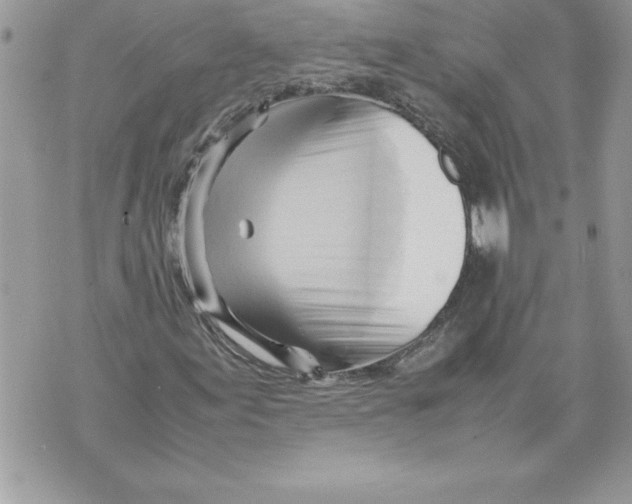 X0000070871155200607150114