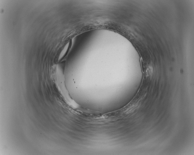 X0000070871156200607150114