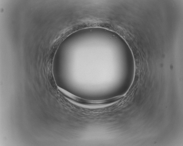 X0000070871157200607150114