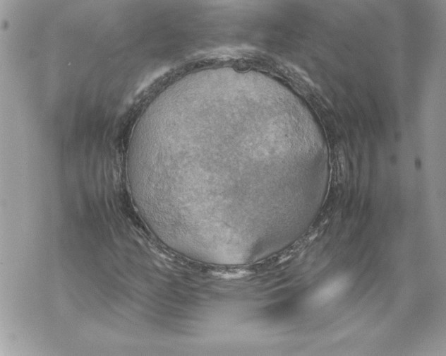 X0000070871158200607150114