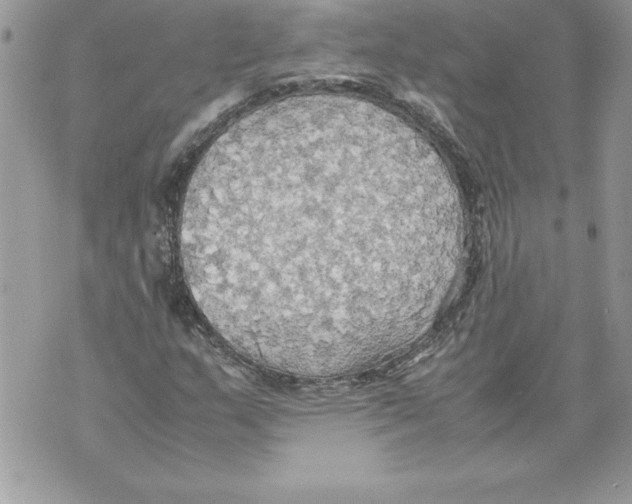 X0000070871159200607150114