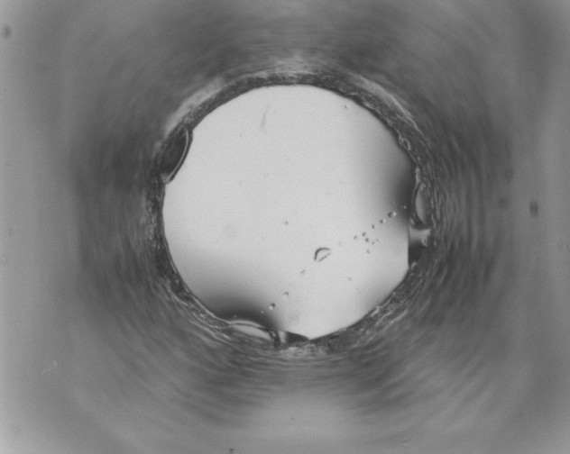 X0000070871160200607150114