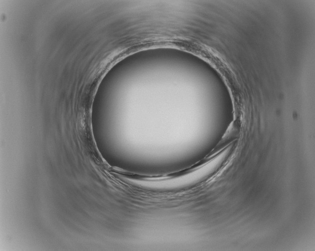 X0000070871161200607150114