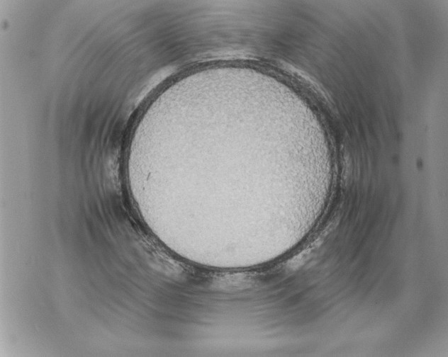 X0000070871162200607150114