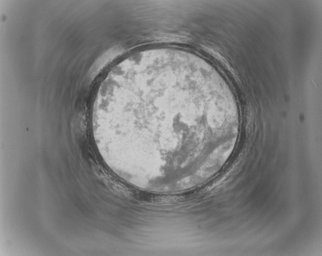 X0000070871163200607150114