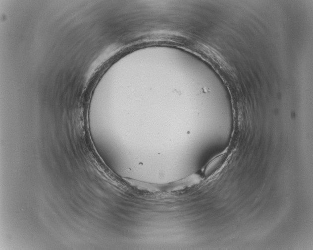 X0000070871164200607150114