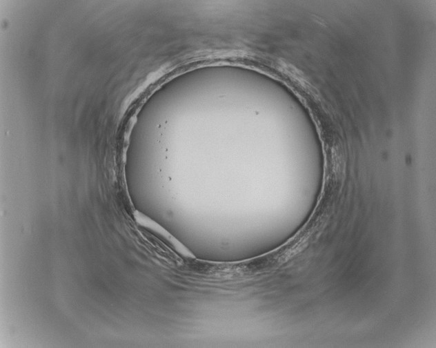 X0000070871165200607150114