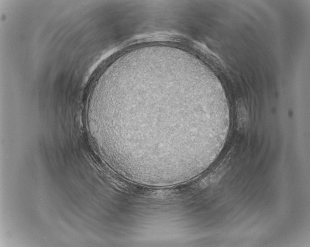 X0000070871166200607150114