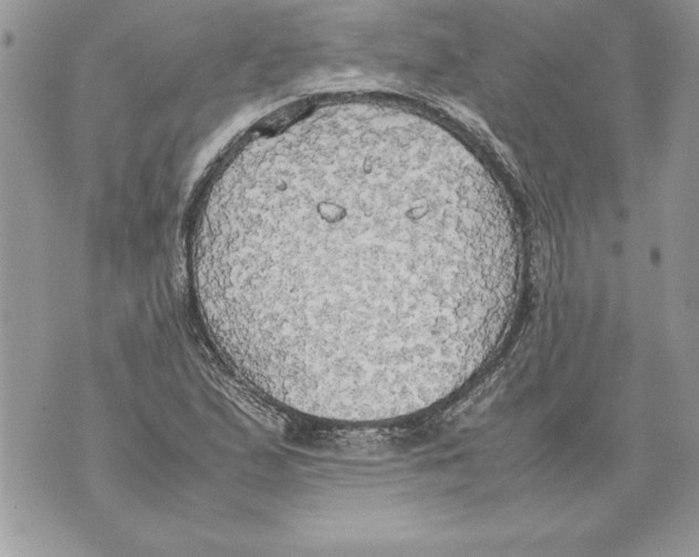 X0000070871167200607150114