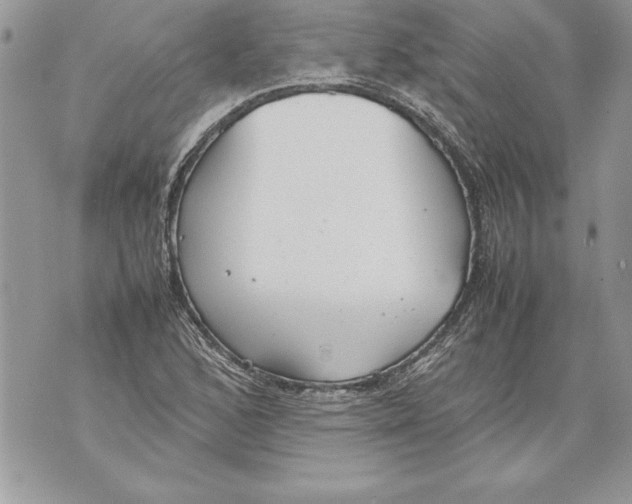 X0000070871168200607150114