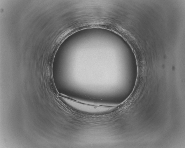 X0000070871169200607150114