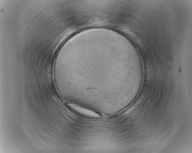 X0000070871170200607150114