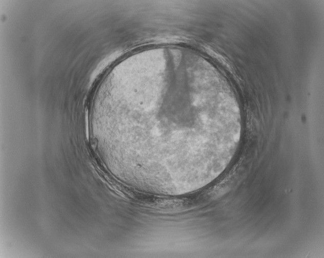 X0000070871171200607150114