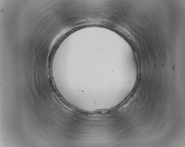 X0000070871172200607150114