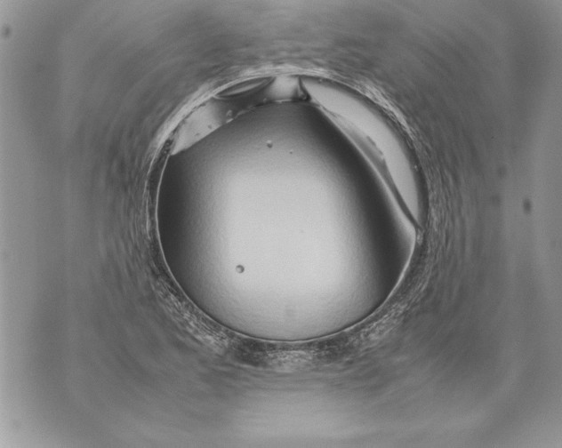 X0000070871173200607150114