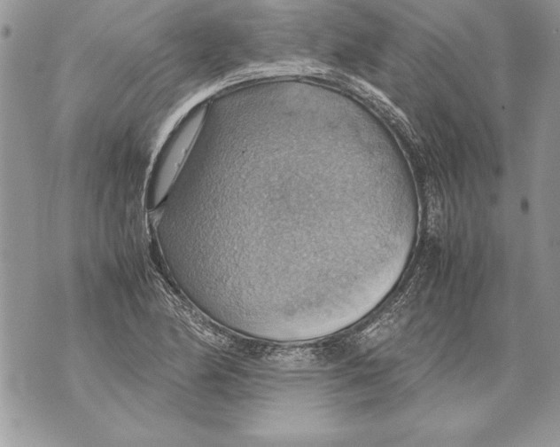 X0000070871174200607150114