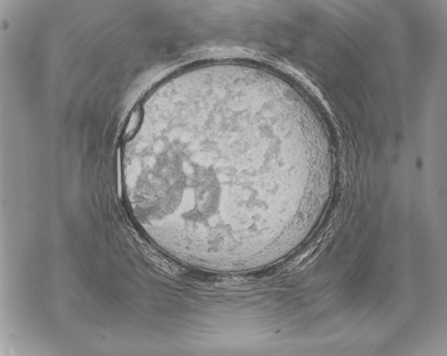 X0000070871175200607150114