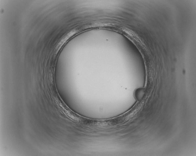 X0000070871177200607150114