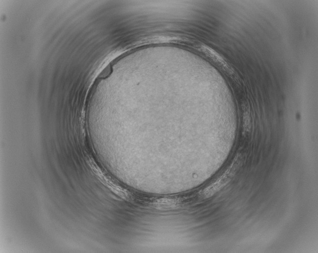 X0000070871178200607150114