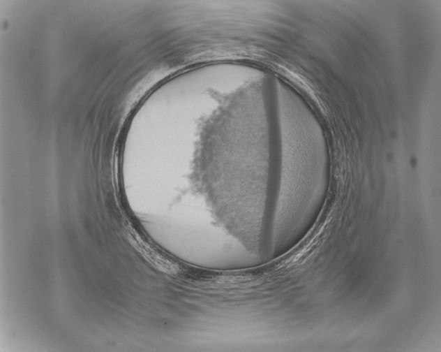 X0000070871179200607150114