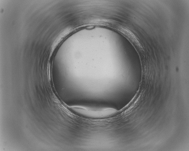 X0000070871180200607150114