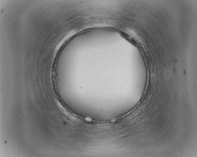 X0000070871181200607150114