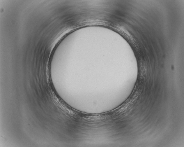 X0000070871182200607150114