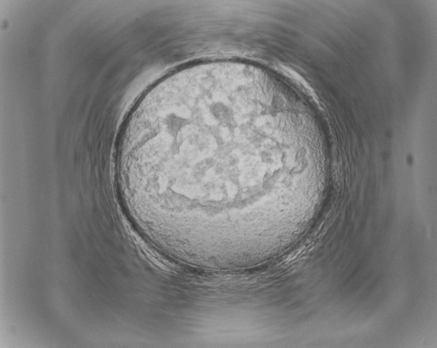 X0000070871183200607150114