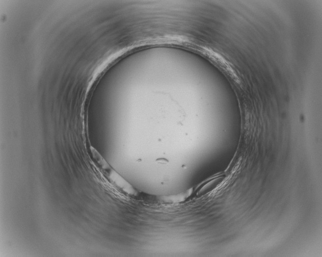 X0000070871184200607150114