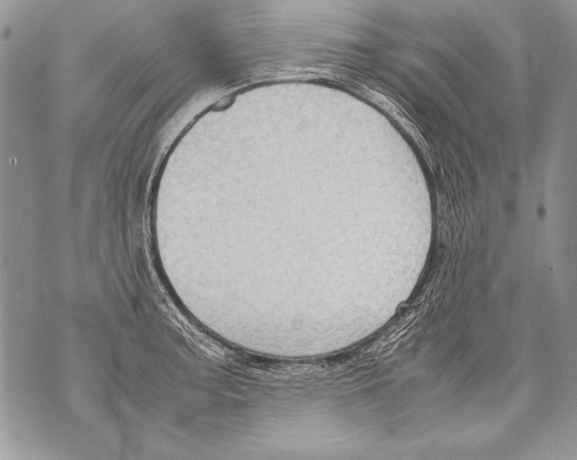 X0000070871187200607150113