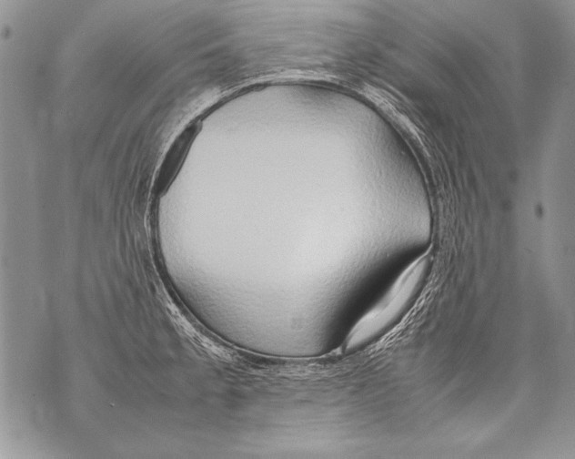 X0000070871189200607150113