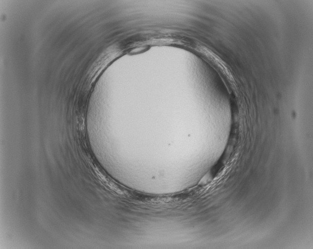 X0000070871193200607150113