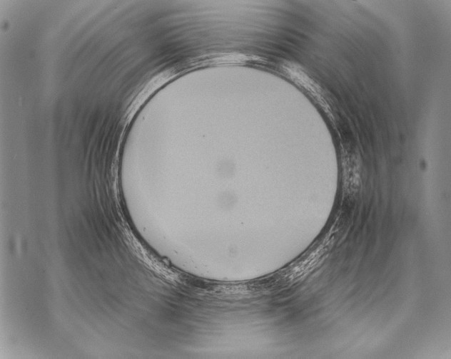 X0000070871194200607150113