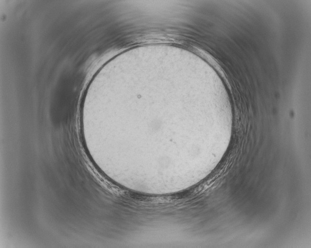 X0000070871195200607150113