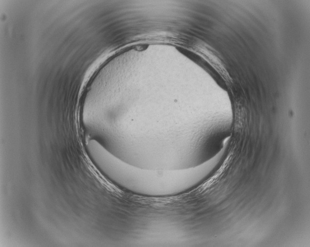 X0000070871196200607150113