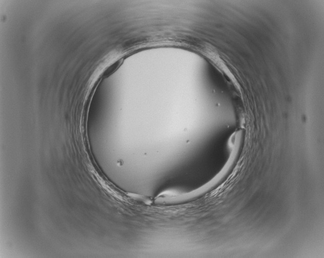 X0000070871197200607150113