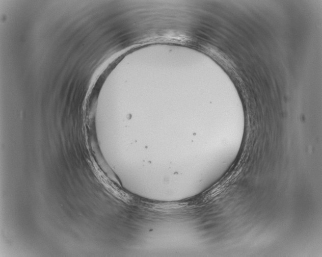 X0000070871200200607150113