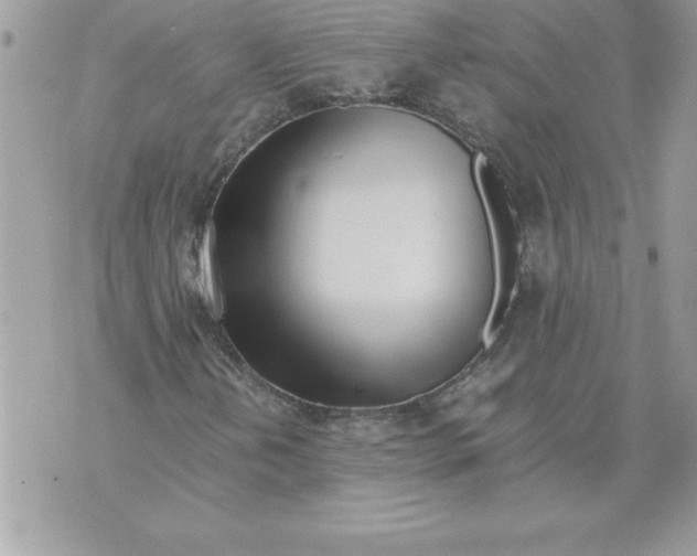 X0000070871202200607150112