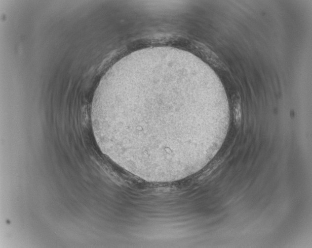 X0000070871204200607150113