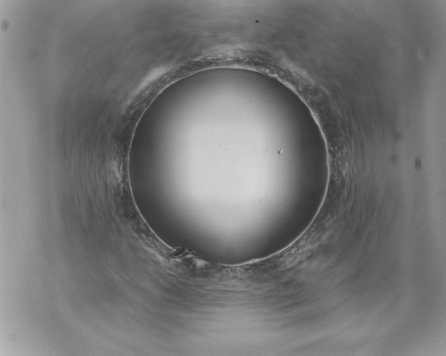 X0000070871206200607150113