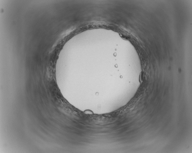 X0000070871207200607150113