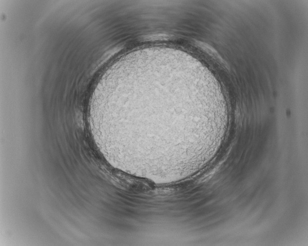 X0000070871209200607150113