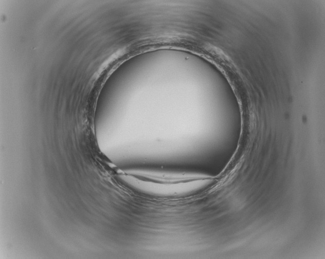 X0000070871210200607150113