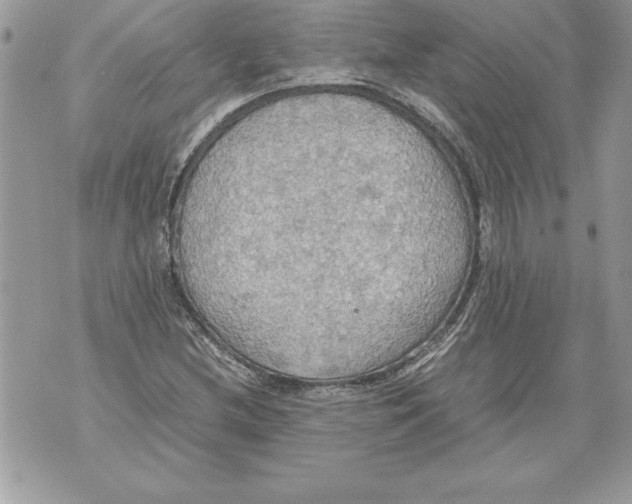 X0000070871212200607150113