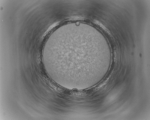 X0000070871213200607150113