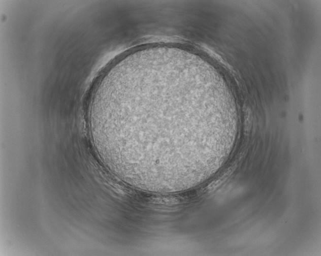 X0000070871215200607150113