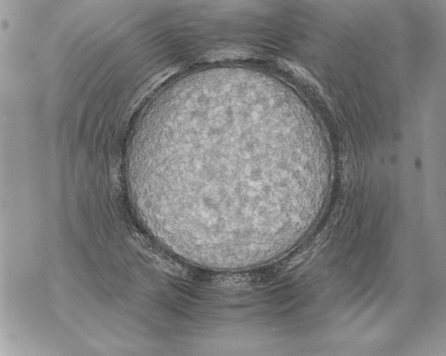 X0000070871217200607150113