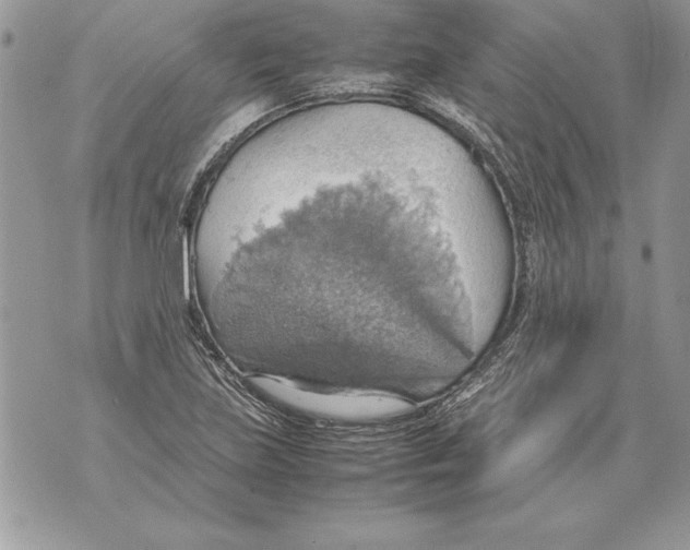 X0000070871219200607150113