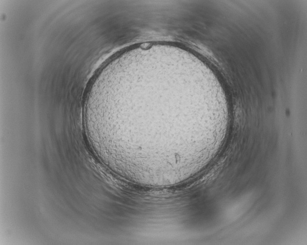 X0000070871220200607150113